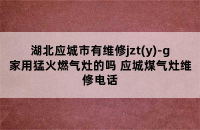 湖北应城市有维修jzt(y)-g家用猛火燃气灶的吗 应城煤气灶维修电话